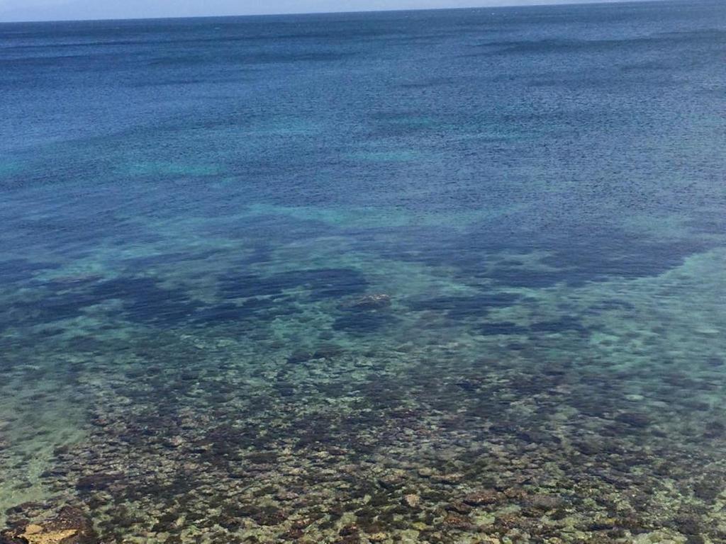 La Porta Sul Mare Apartman Santa Flavia Kültér fotó